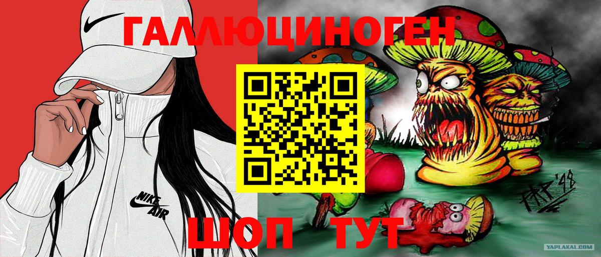 Псилоцибиновые грибы Cubensis  Вход с VPN  Белогорск 